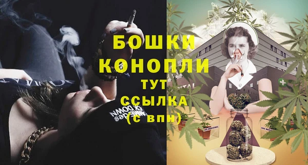 ешки Верхний Тагил